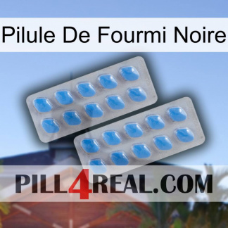 Black Ant Pill 23